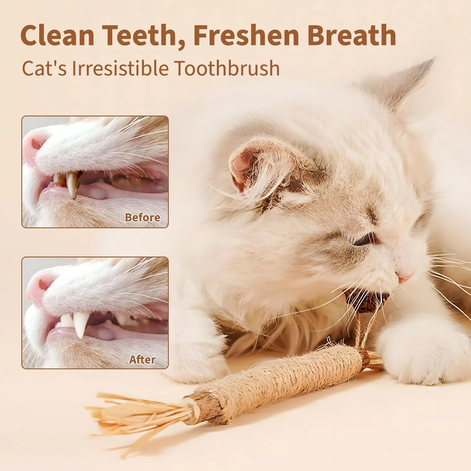 6 Pack Silvervine Sticks for Cats - Cat Teething Toys, Catnip Chew Sticks, Edible Kitty Toys for Indoor Cats