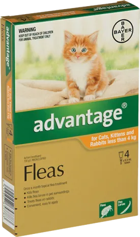 Advantage Cats & Rabbits Small 0-4KG 4 Pack