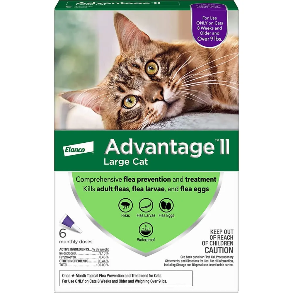 Advantage II Cat Large Purple 6-Pack
