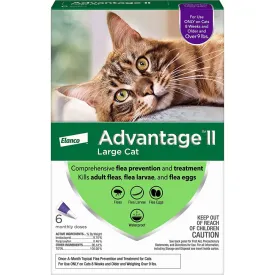 Advantage II Cat Large Purple 6-Pack
