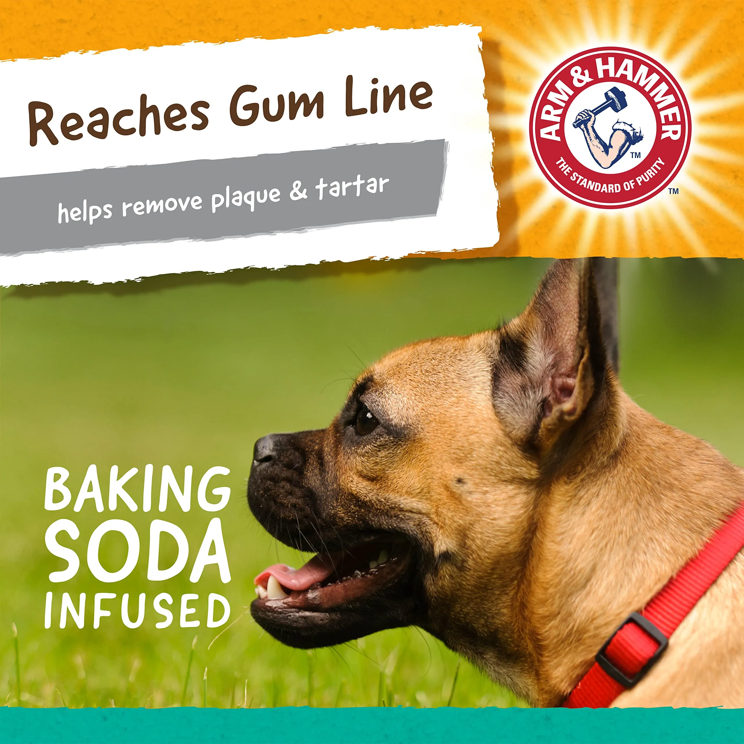 Arm & Hammer for Pets Super Treadz Gorilla Dental Chew Toy for Dogs - Dog Dental Chew Toys Reduce Plaque & Tartar Buildup Without Brushing - Safe for Dogs up to 35 Lbs Large - 1 Pack