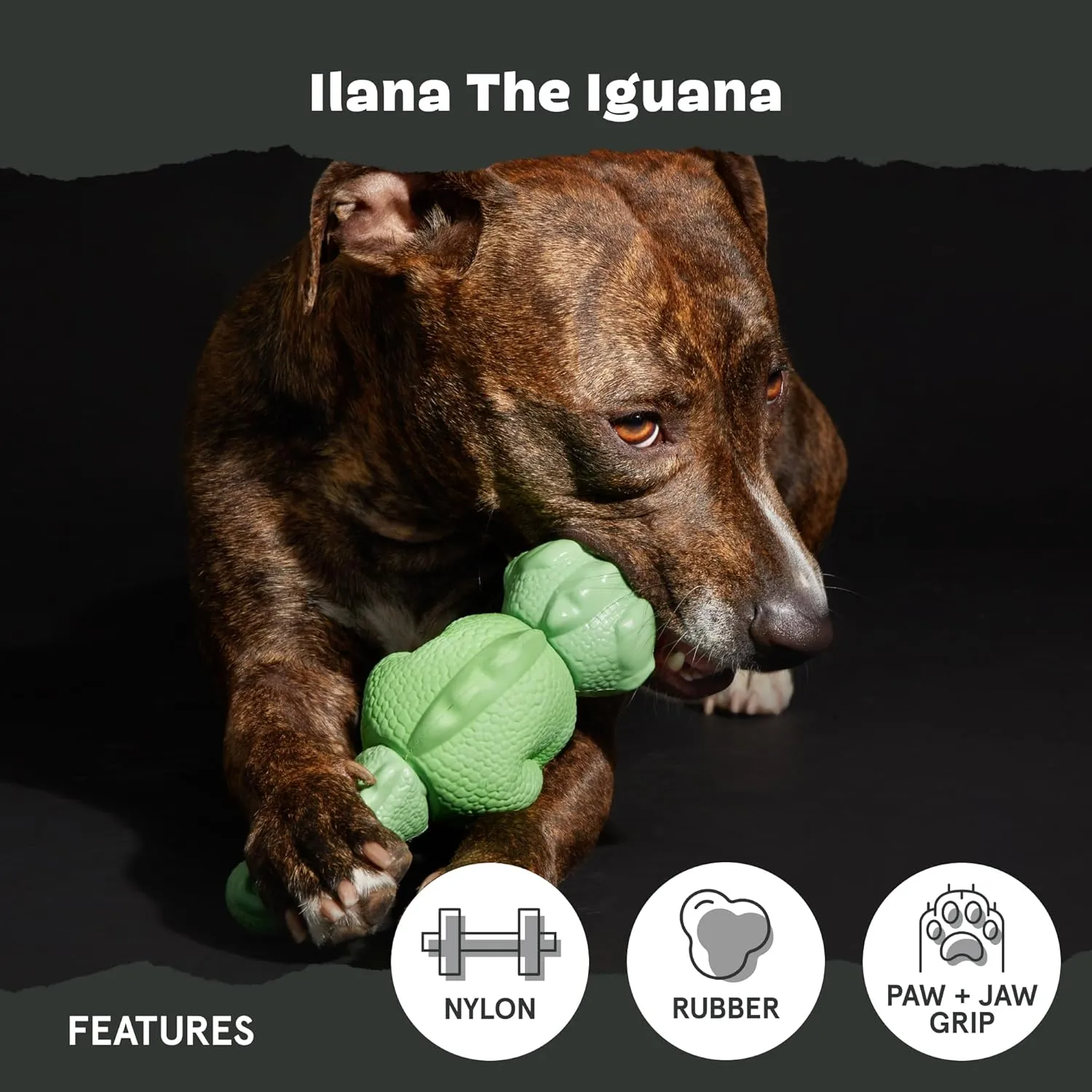 Barkbox Super Chewer Tough Dog Chew Toys for Aggressive Chewers, Dental Stimulating (Iguana - Large)