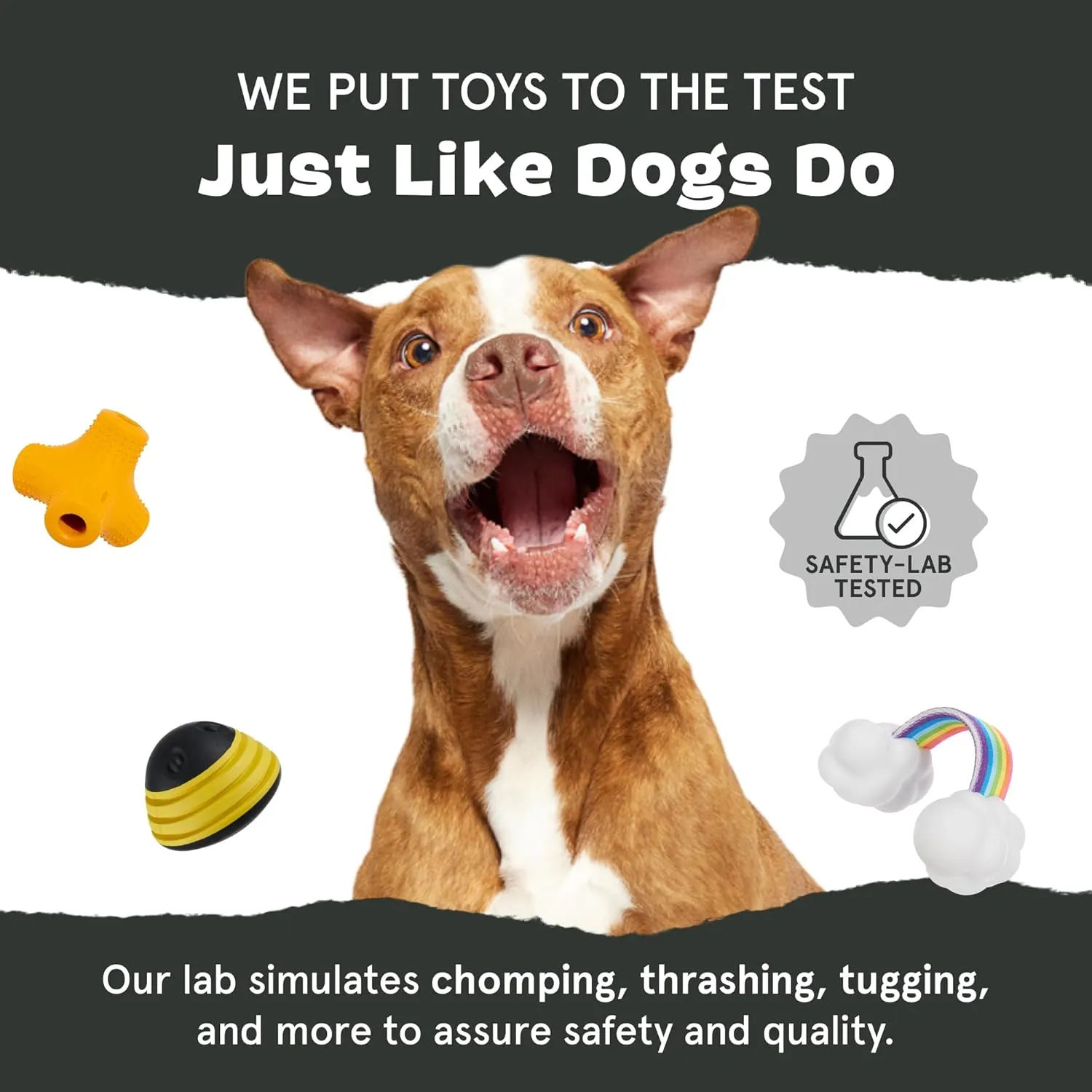 Barkbox Super Chewer Tough Dog Chew Toys for Aggressive Chewers, Dental Stimulating (Iguana - Large)