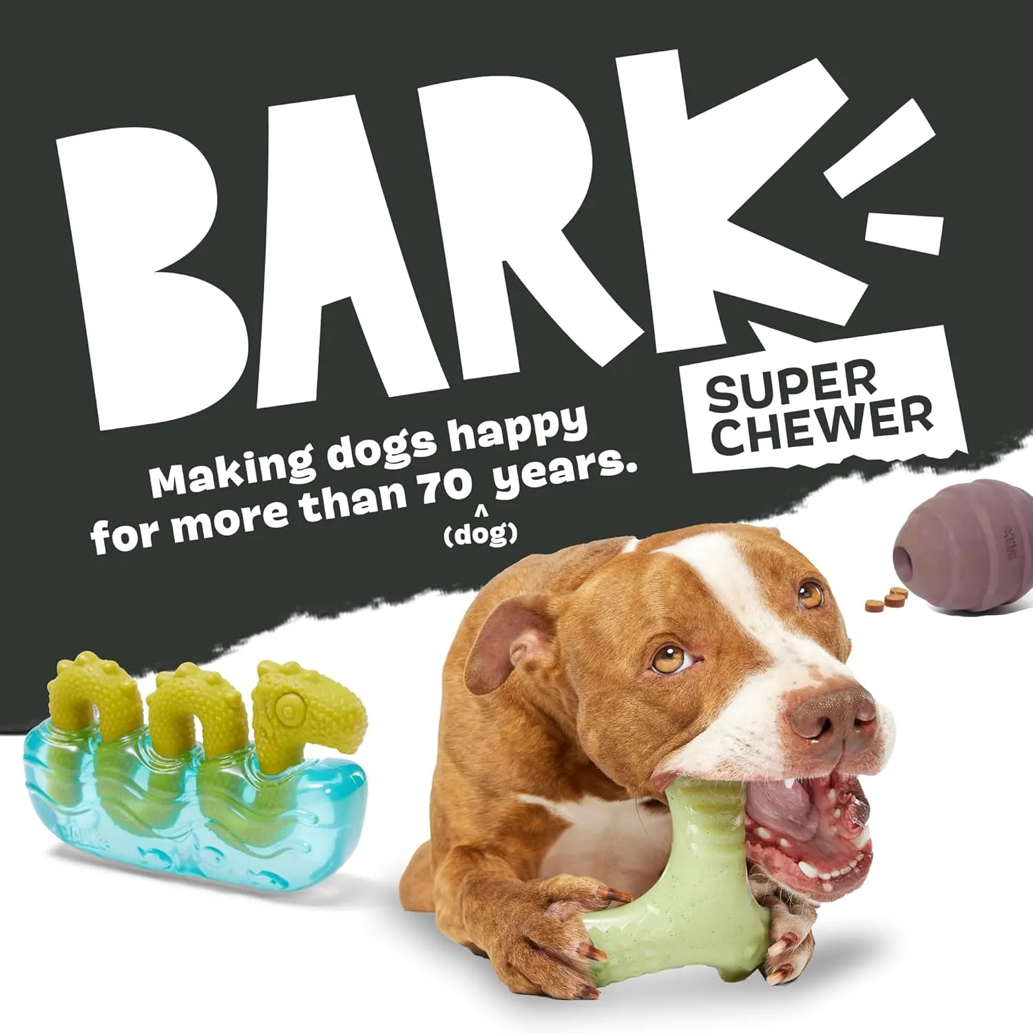 Barkbox Super Chewer Tough Dog Chew Toys for Aggressive Chewers, Dental Stimulating (Iguana - Large)