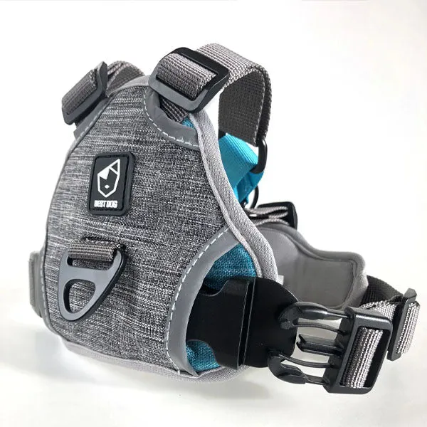 Best Dog IN LINE - Non Pull Harness - Grey