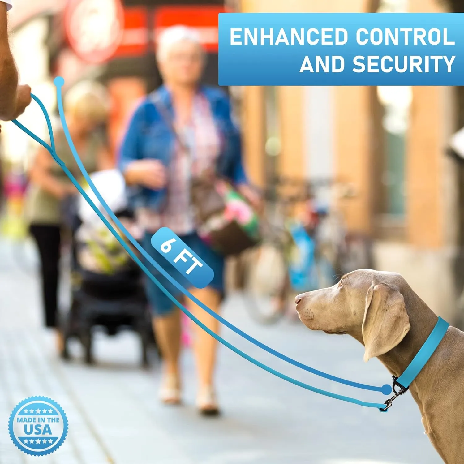 Biothane Dog Leash - Extra Heavy Duty, Waterproof for Large, Medium, Small Dogs - 6 Ft Lead with Brass Carabiner (Sky Blue)
