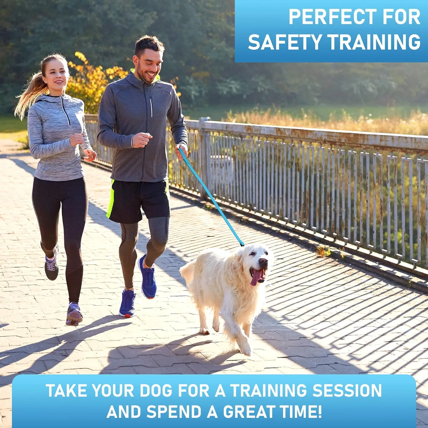 Biothane Dog Leash - Extra Heavy Duty, Waterproof for Large, Medium, Small Dogs - 6 Ft Lead with Brass Carabiner (Sky Blue)