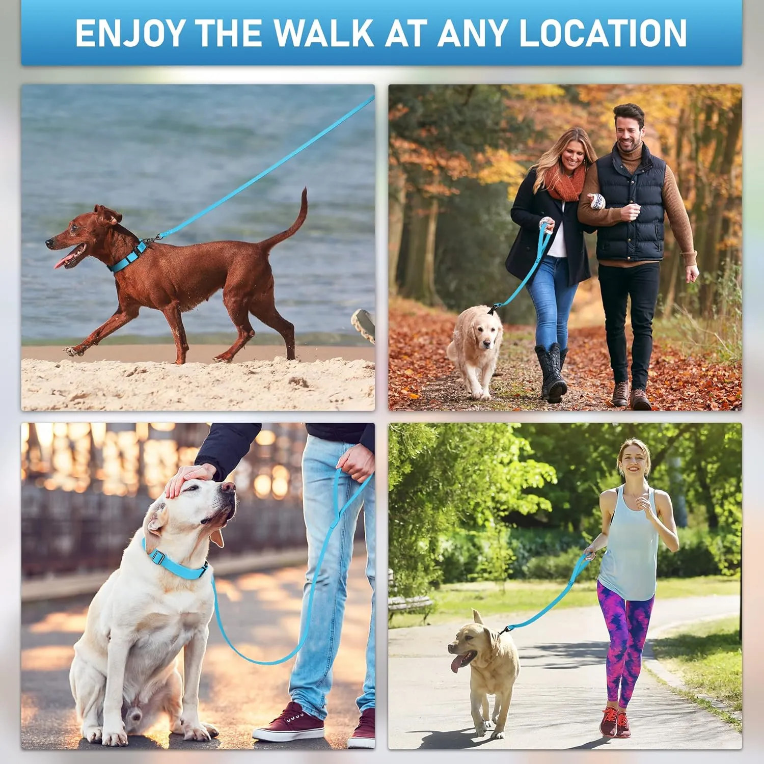 Biothane Dog Leash - Extra Heavy Duty, Waterproof for Large, Medium, Small Dogs - 6 Ft Lead with Brass Carabiner (Sky Blue)