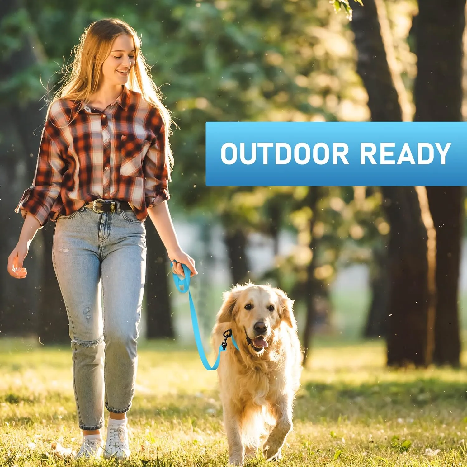 Biothane Dog Leash - Extra Heavy Duty, Waterproof for Large, Medium, Small Dogs - 6 Ft Lead with Brass Carabiner (Sky Blue)