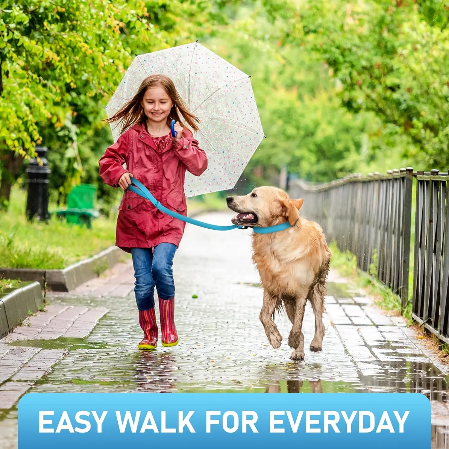 Biothane Dog Leash - Extra Heavy Duty, Waterproof for Large, Medium, Small Dogs - 6 Ft Lead with Brass Carabiner (Sky Blue)