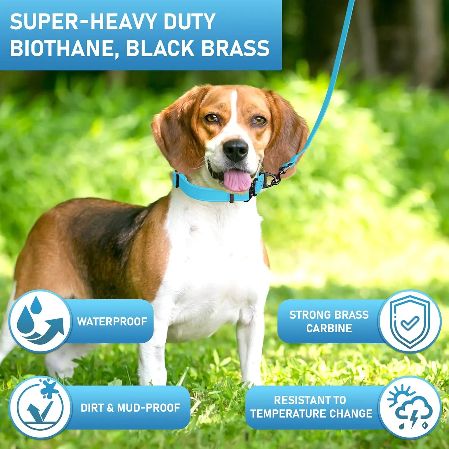 Biothane Dog Leash - Extra Heavy Duty, Waterproof for Large, Medium, Small Dogs - 6 Ft Lead with Brass Carabiner (Sky Blue)
