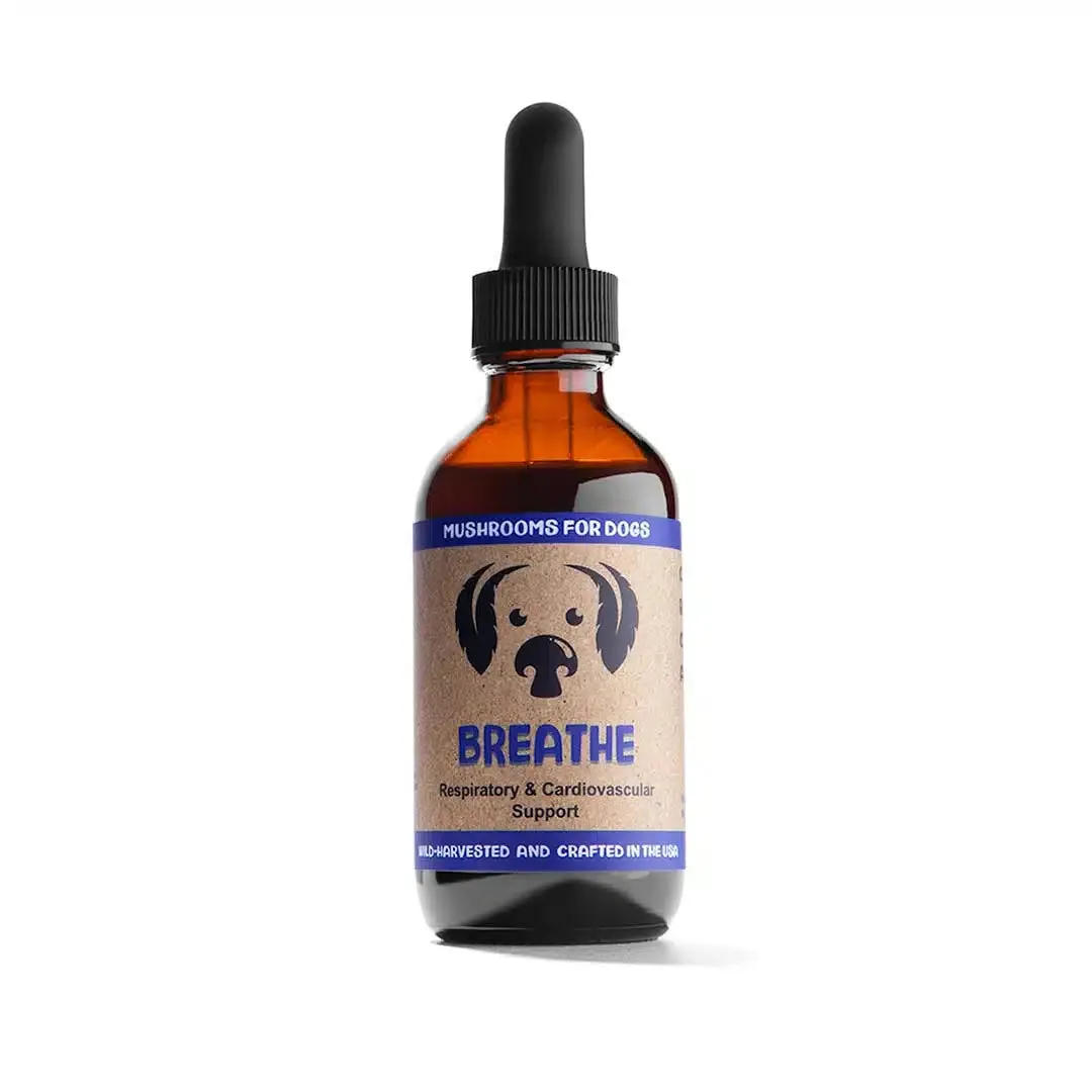 Breathe by MycoDog Mushroom Extract & Adaptogen Tincture
