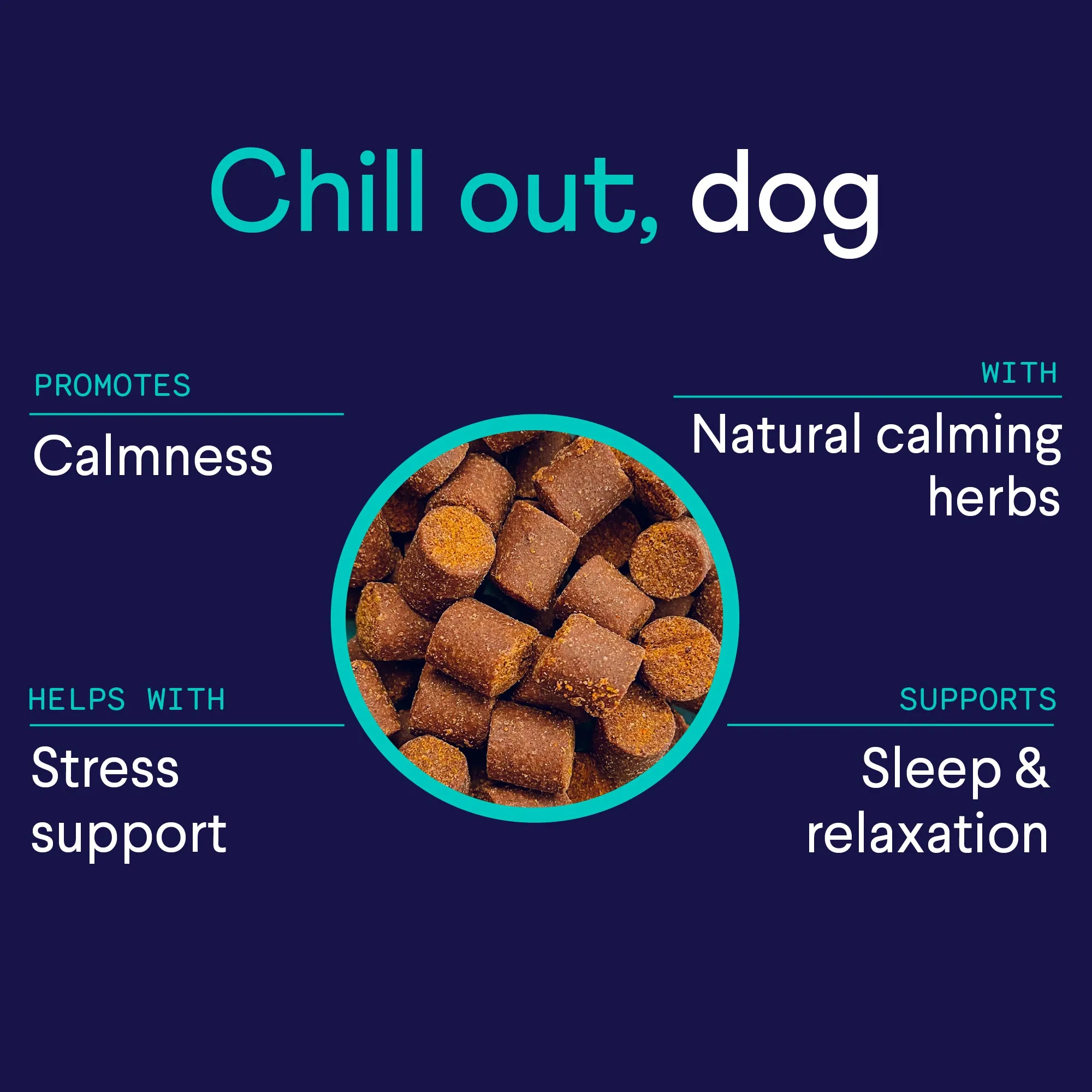 Calming Aid Supplement for Dogs