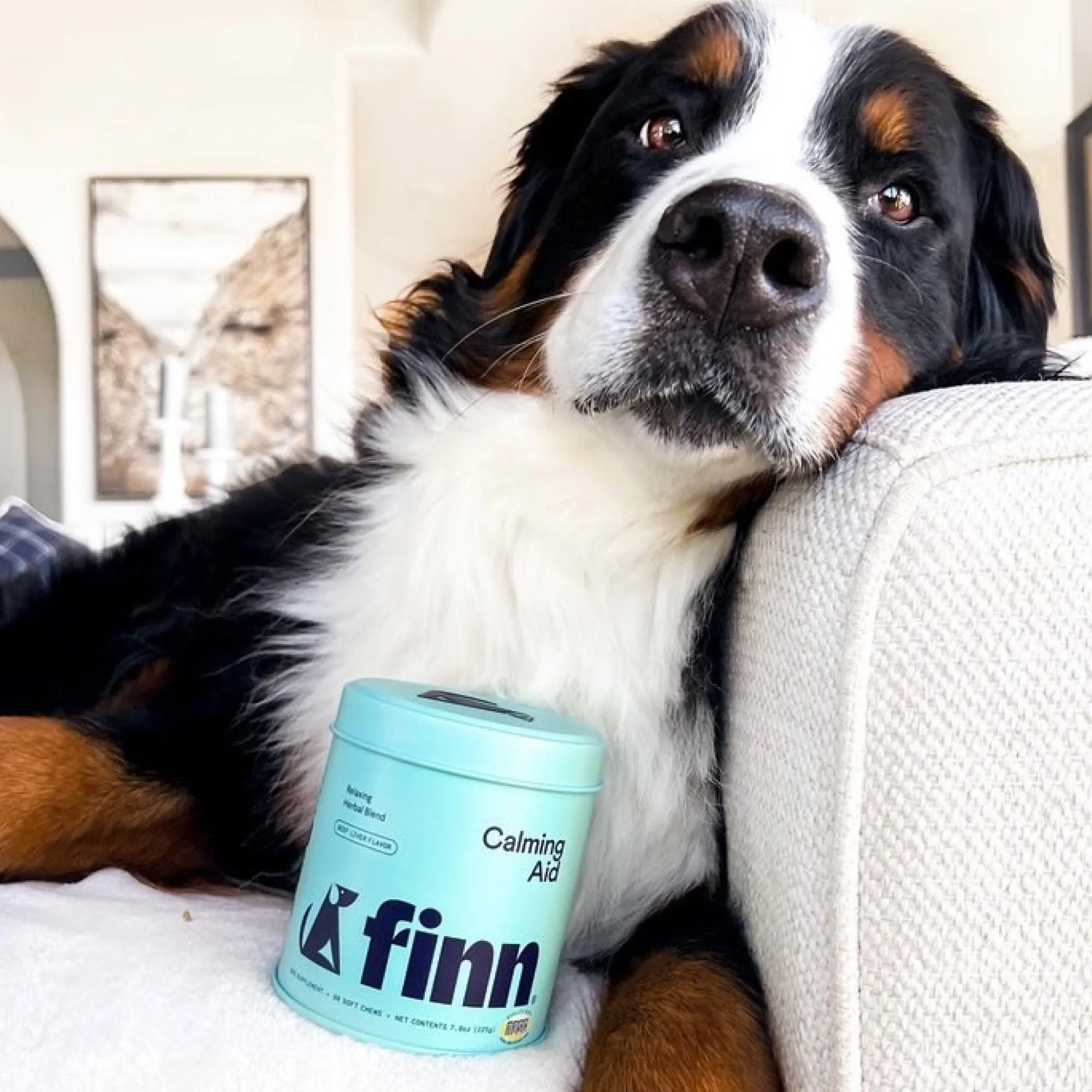 Calming Aid Supplement for Dogs