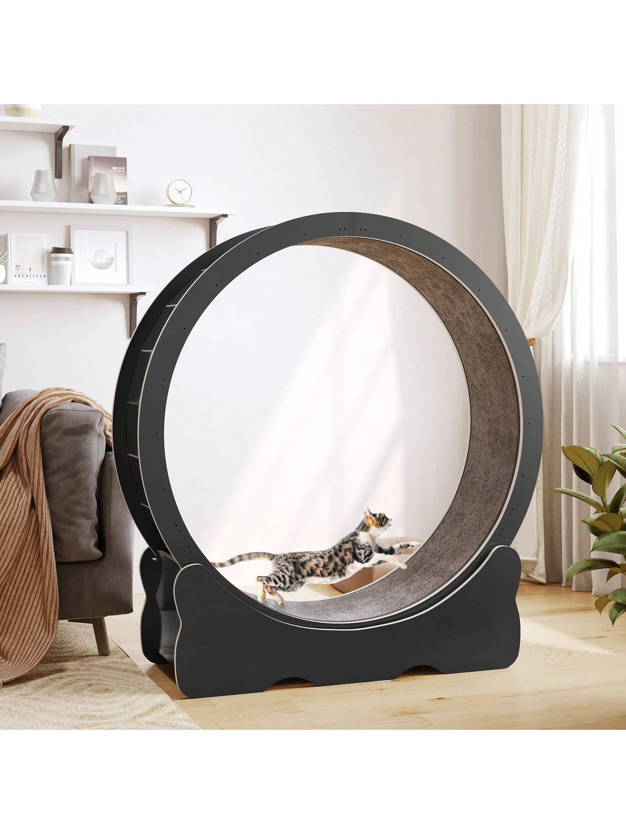 Cat Running Exercise Wheel Treadmill