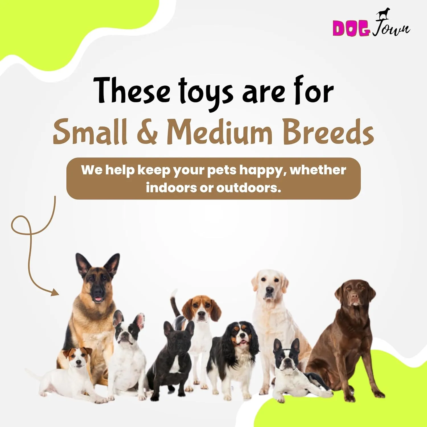 Chew Toys for Dogs and Puppies - Dual Color Drum