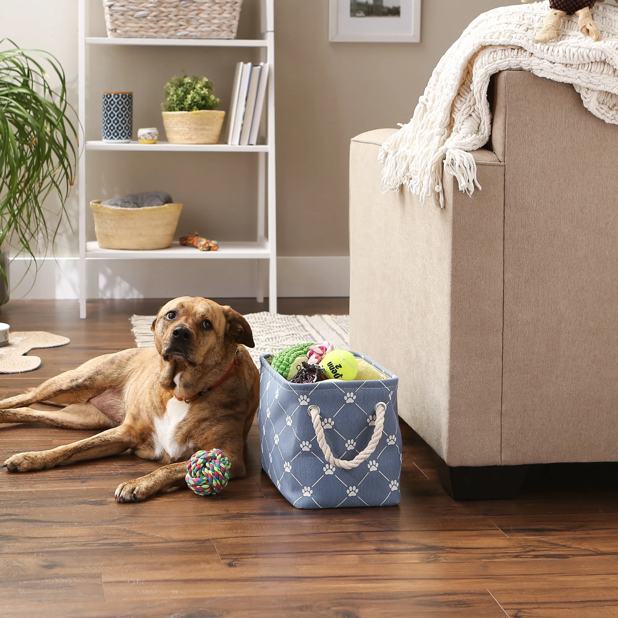 Collapsible Pet Storage Bin, Trellis Paw Print, Stonewash Blue, Small - 14x8x9"