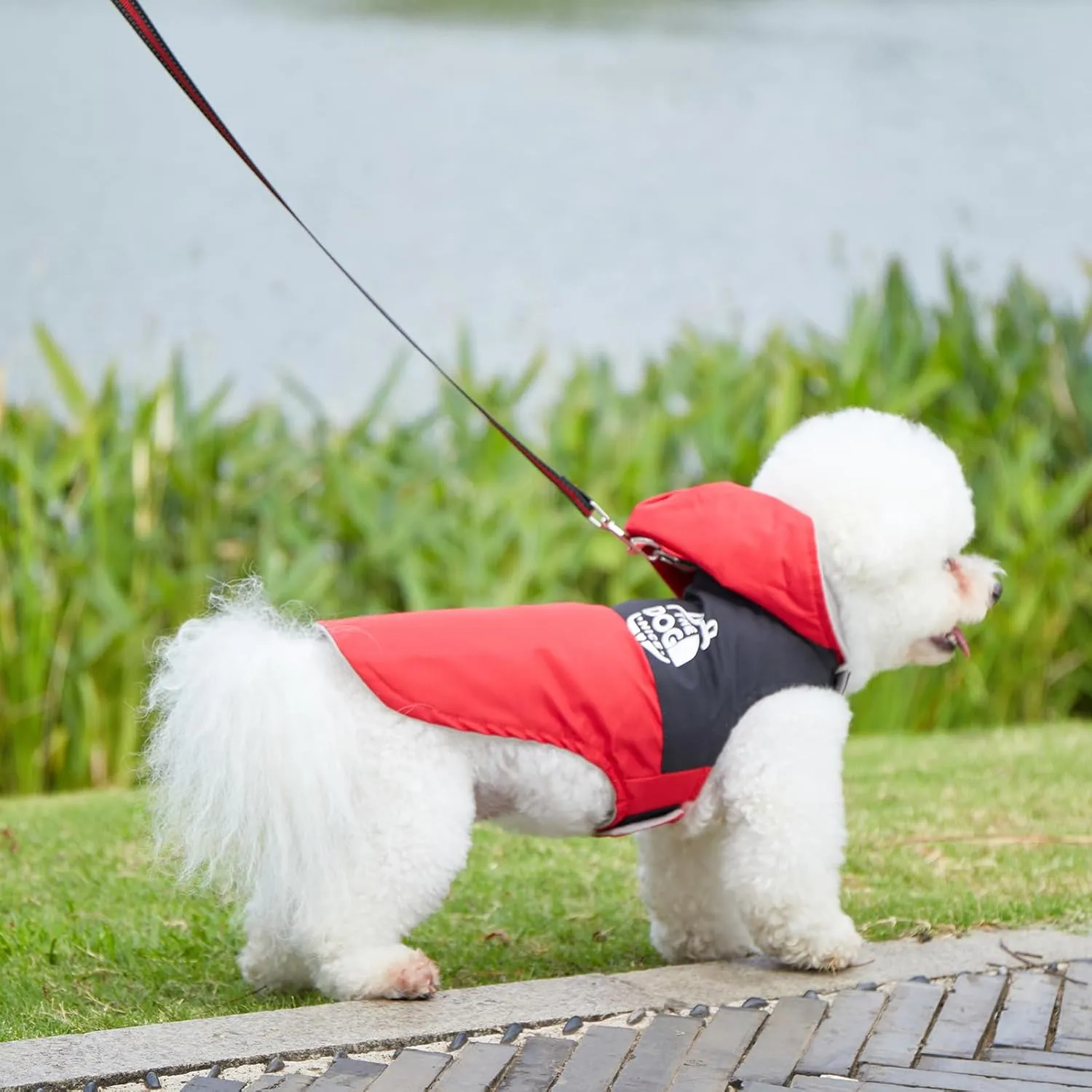 Dog Raincoats,Winter Coat,Windproof Waterproof Warm Jacket,Pet Dog Clothes for Small Medium Large Dogs(Red, Medium)
