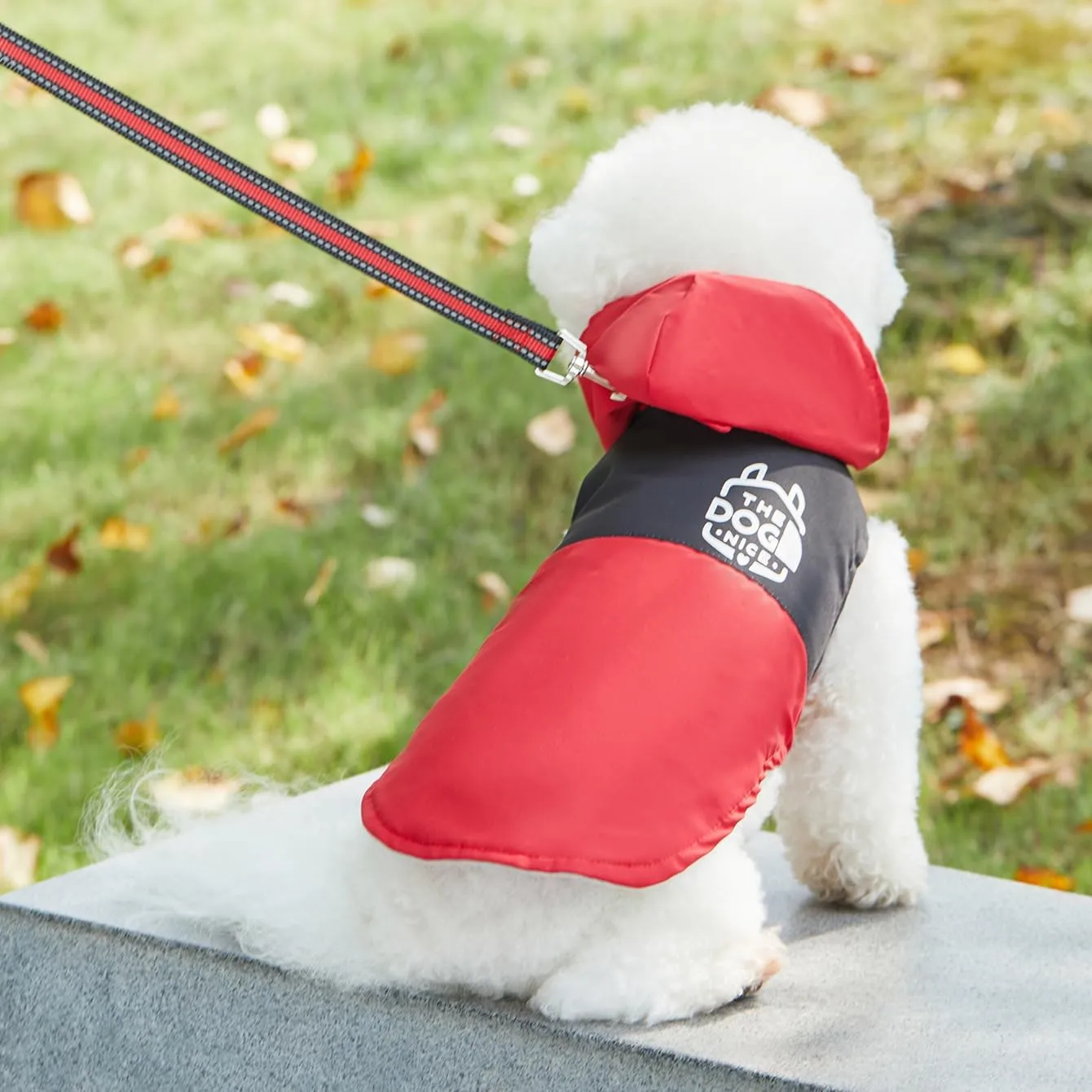 Dog Raincoats,Winter Coat,Windproof Waterproof Warm Jacket,Pet Dog Clothes for Small Medium Large Dogs(Red, Medium)