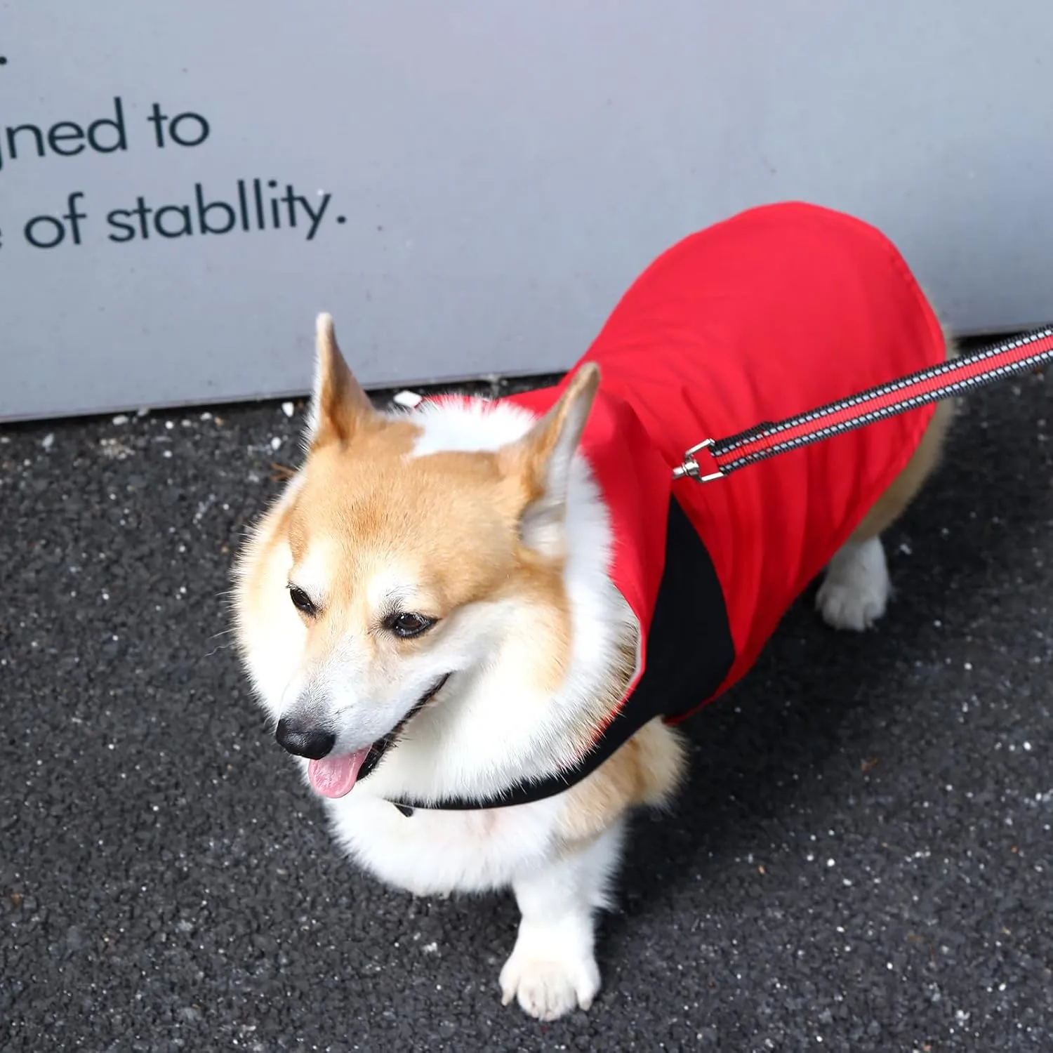 Dog Raincoats,Winter Coat,Windproof Waterproof Warm Jacket,Pet Dog Clothes for Small Medium Large Dogs(Red, Medium)