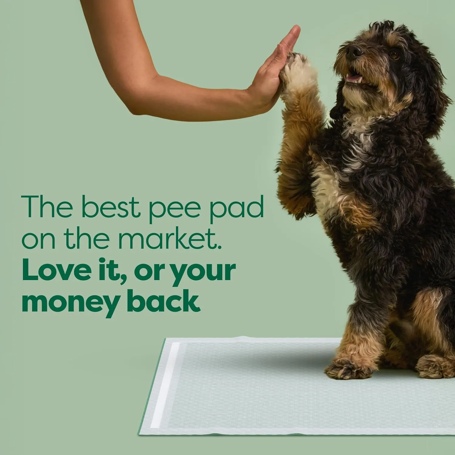 Earth Rated 3-in-1 Max Absorbency Puppy Pee Pads for Dogs, Odor Blocking, Leak Prevention Potty Training Pad, Large, 22 x 23 Inches, 7 Count