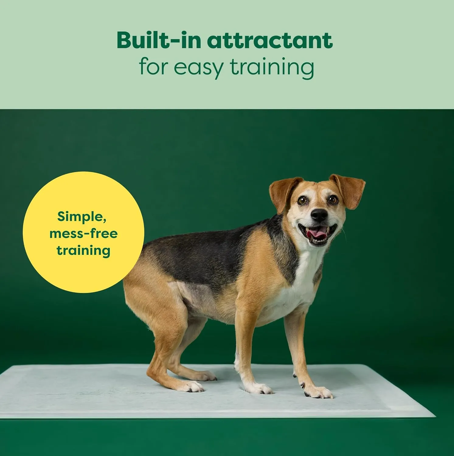 Earth Rated 3-in-1 Max Absorbency Puppy Pee Pads for Dogs, Odor Blocking, Leak Prevention Potty Training Pad, Large, 22 x 23 Inches, 7 Count