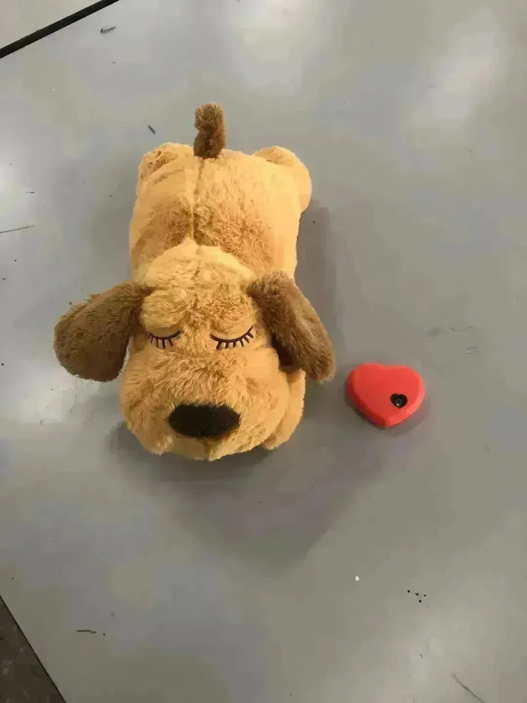 Fashion Hot Selling Pet Comfort Toys