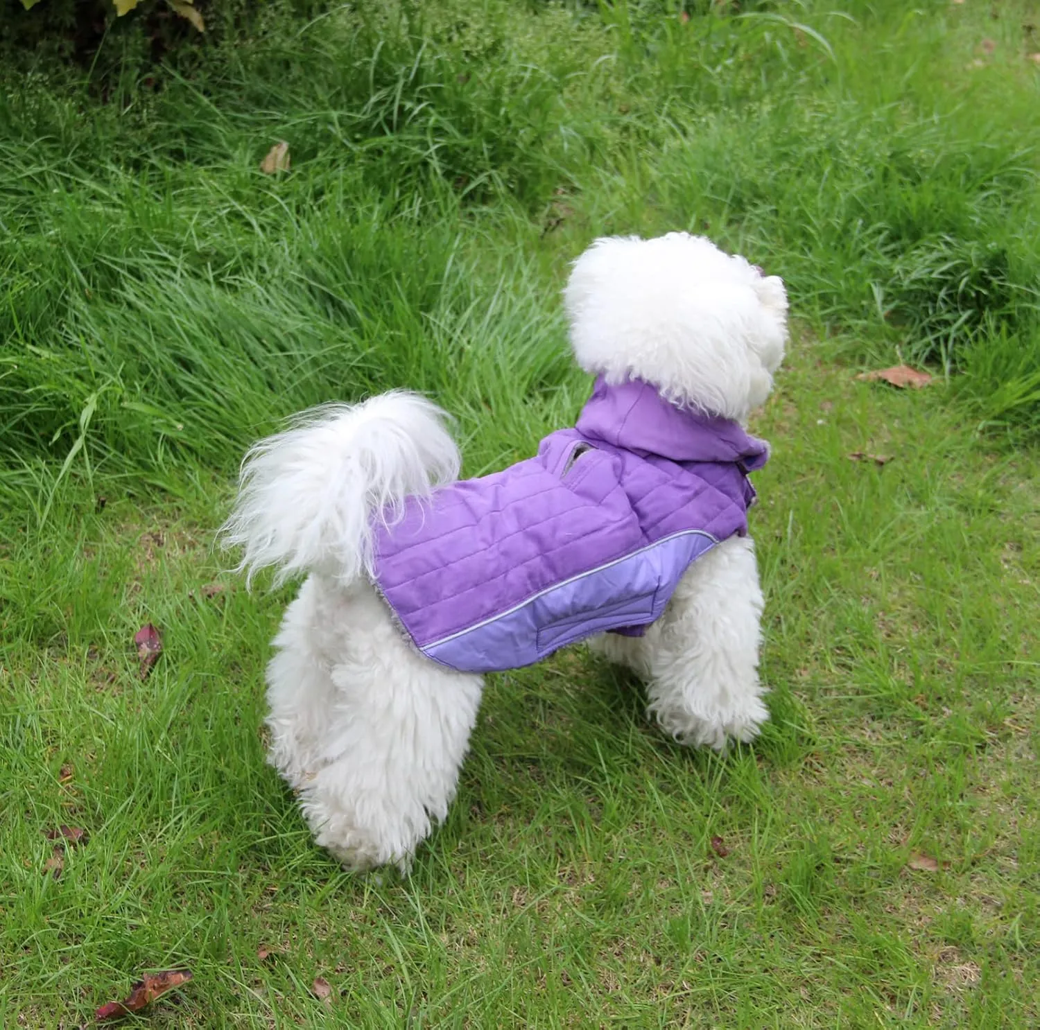 Fleece Dog Hoodie for Small Dogs Super Warm Puppy Jacket for Cold Winter Dog Coats,Purple XS