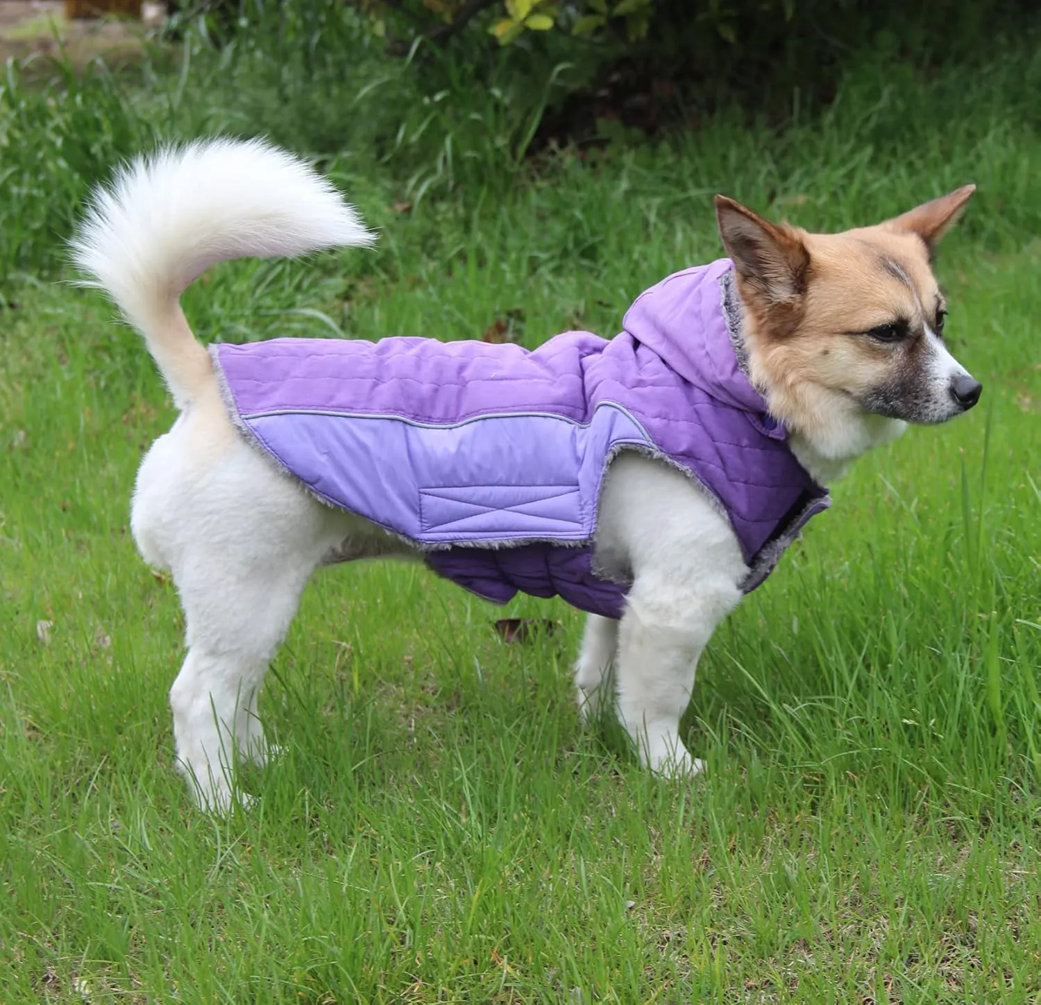 Fleece Dog Hoodie for Small Dogs Super Warm Puppy Jacket for Cold Winter Dog Coats,Purple XS