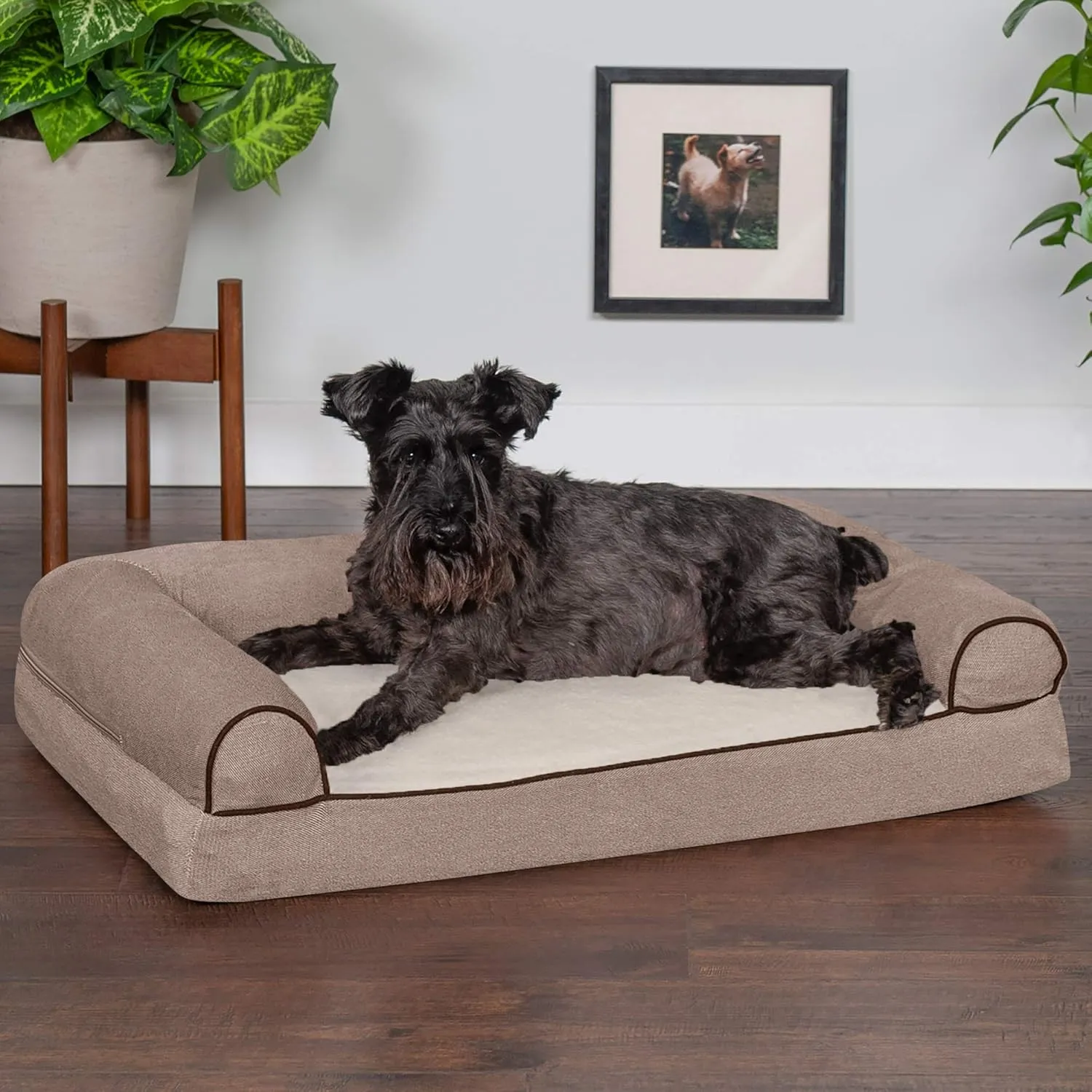 Furhaven Memory Foam Dog Bed for Medium/Small Dogs w/ Removable Bolsters & Washable Cover, For Dogs Up to 35 lbs - Sherpa & Chenille Sofa - Cream, Medium