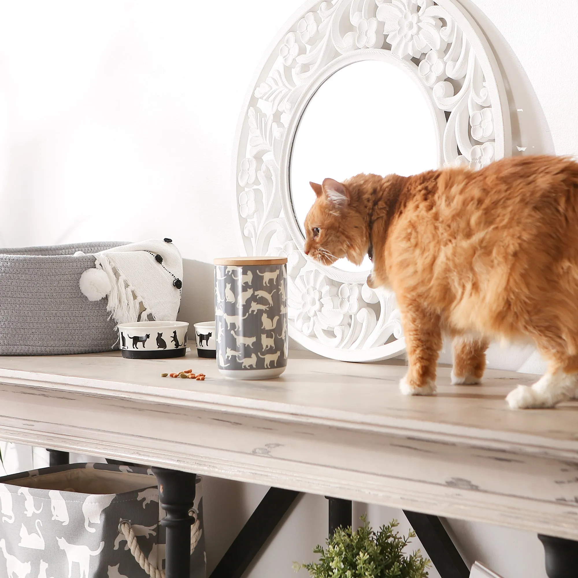 Gray Cat's Meow Pet Treat Canister 4 Cup Capacity