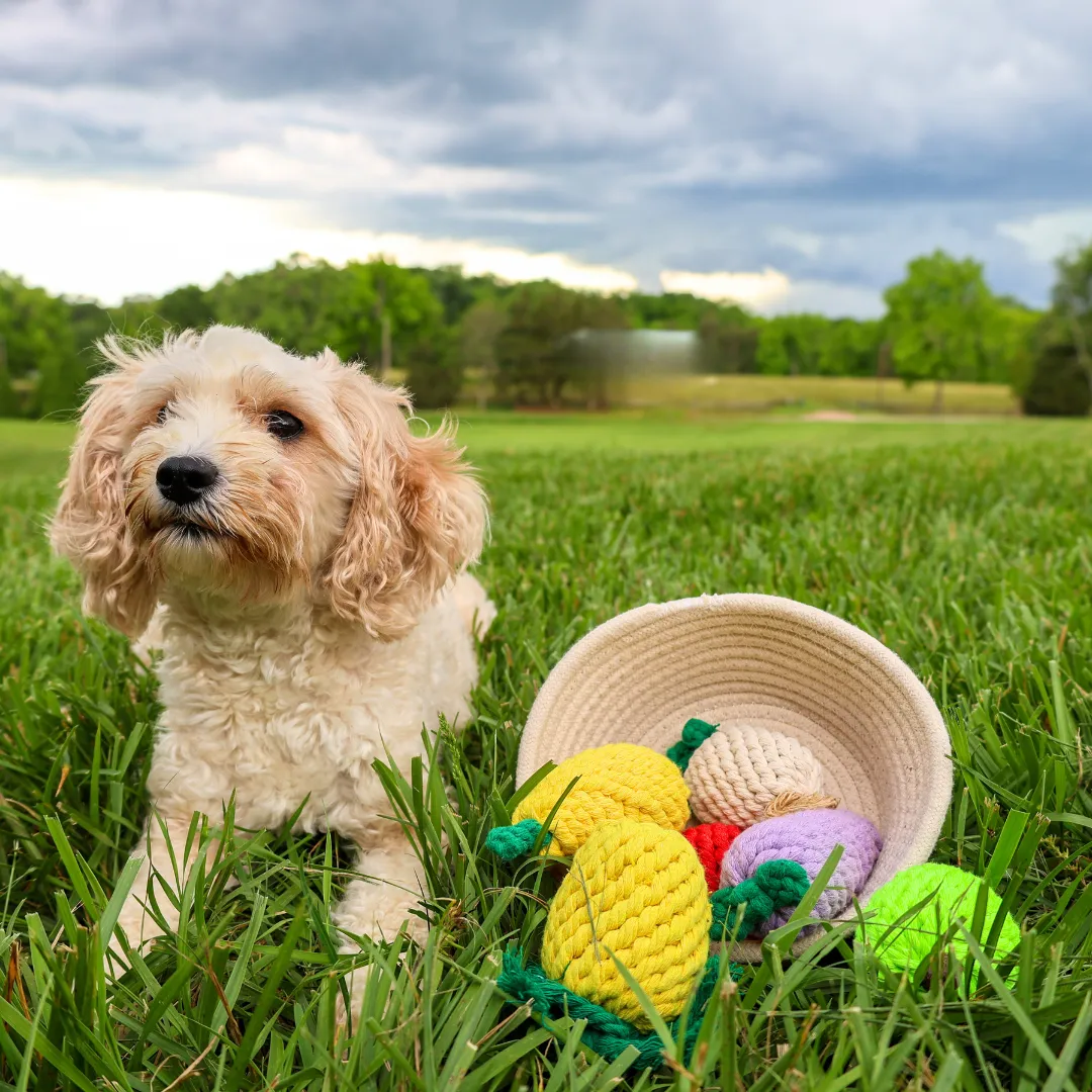 Handmade Orange Rope Toy