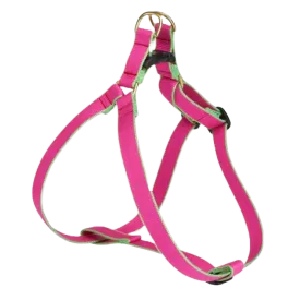 Harness | Bright Pink & Lime