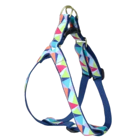 Harness | Kaleidoscope