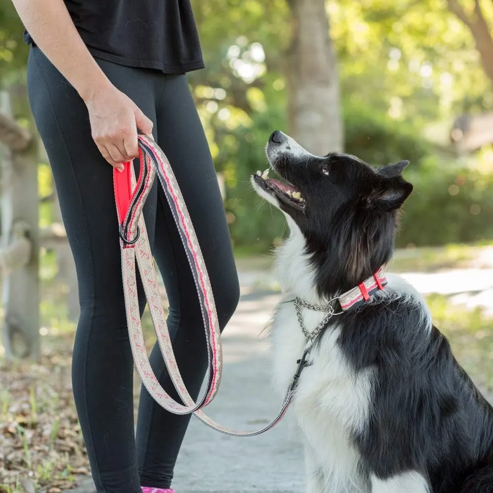 Leash Boss 6ft Dog Leash | Ultra Comfort Double-Thick Soft Padded Handle | Reflective Leash for Large Dogs, Medium Dogs | Heavy Duty Leash for Large Breed Dogs | Nylon Leash for Small Dogs/Puppies