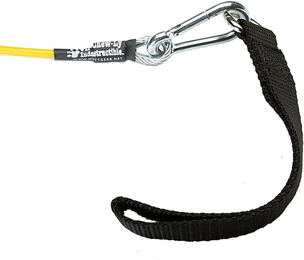 Leash for Dogs, 5.6', Medium, Black