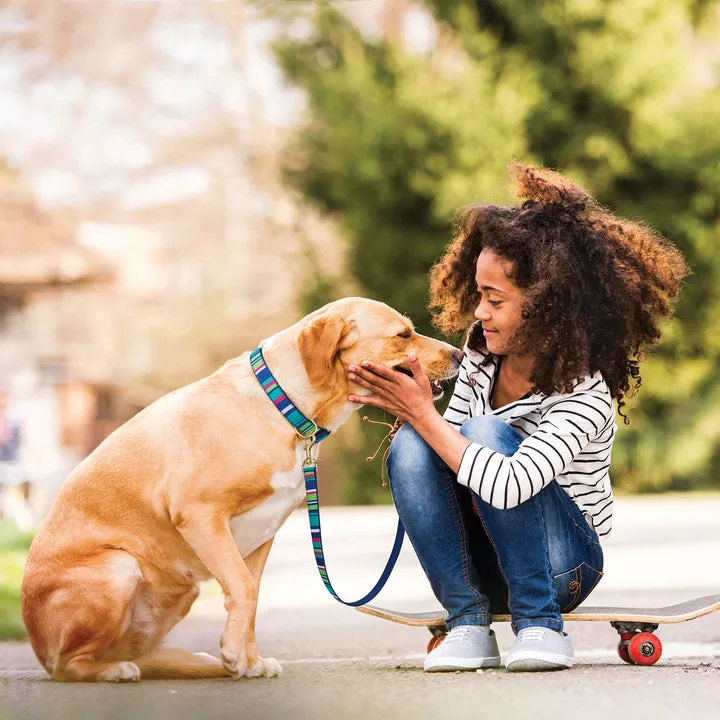 Leash | Sutton Stripe