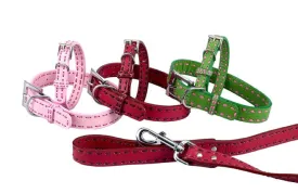 Leather Dog Leashes