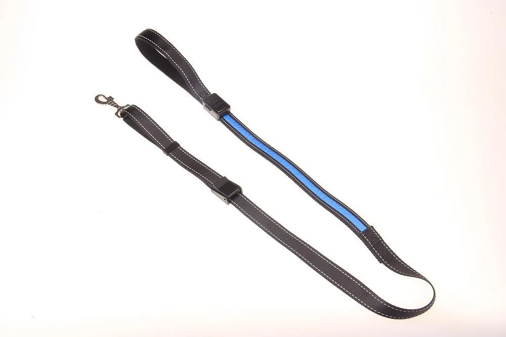 Light Leash Dogs-Rechargeable LED Light Glowing Leash for Dogs - Adjustable 6 ft'' (Blue)