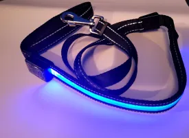 Light Leash Dogs-Rechargeable LED Light Glowing Leash for Dogs - Adjustable 6 ft'' (Blue)