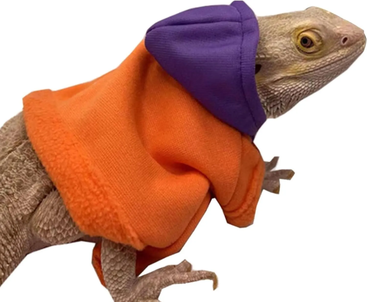 Lizards Clothes for Bearded Dragon - Handmade Cotton Hoodies Warm Sweater Coat Reptiles Apparel Costume Skin Protection Photo for Lizard Bearded Dragon Crested Gecko Chameleon (4 Pack,Large)