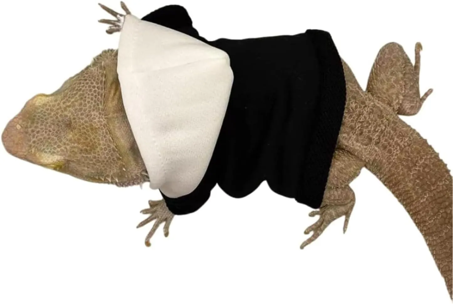 Lizards Clothes for Bearded Dragon - Handmade Cotton Hoodies Warm Sweater Coat Reptiles Apparel Costume Skin Protection Photo for Lizard Bearded Dragon Crested Gecko Chameleon (4 Pack,Large)