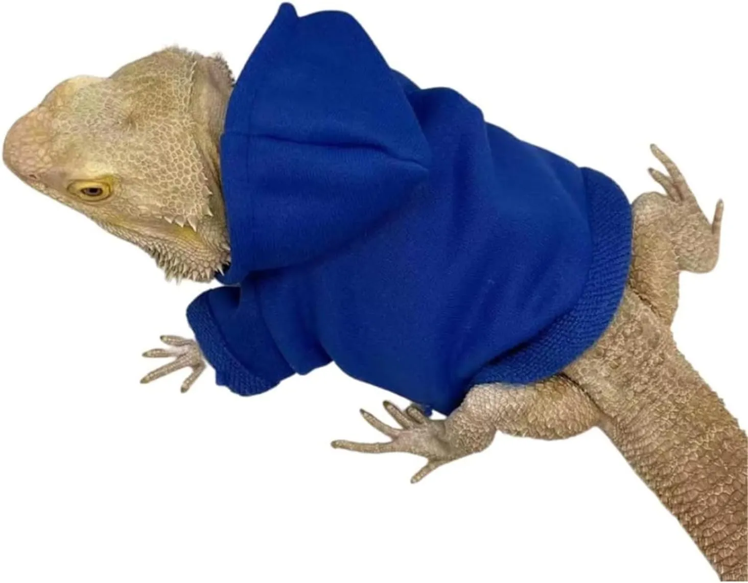 Lizards Clothes for Bearded Dragon - Handmade Cotton Hoodies Warm Sweater Coat Reptiles Apparel Costume Skin Protection Photo for Lizard Bearded Dragon Crested Gecko Chameleon (4 Pack,Large)