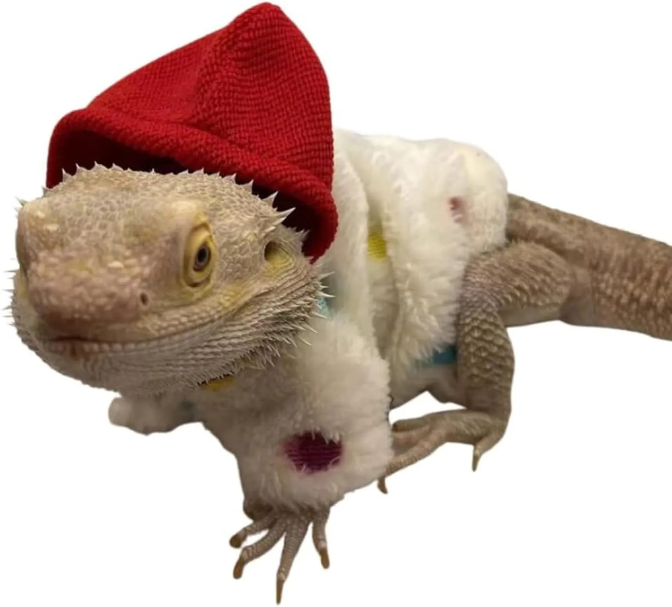 Lizards Clothes for Bearded Dragon - Handmade Cotton Hoodies Warm Sweater Coat Reptiles Apparel Costume Skin Protection Photo for Lizard Bearded Dragon Crested Gecko Chameleon (4 Pack,Large)