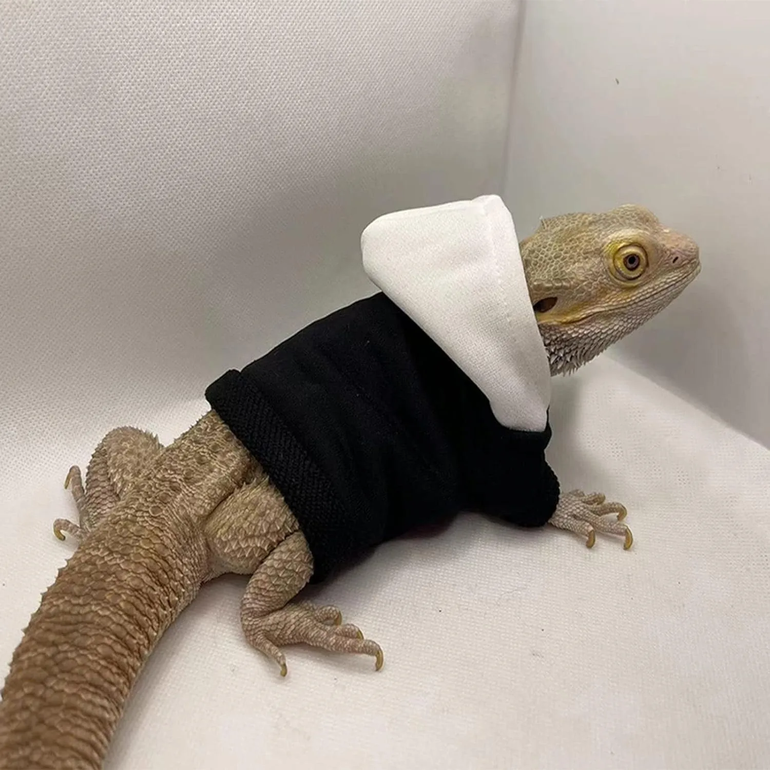 Lizards Clothes for Bearded Dragon - Handmade Cotton Hoodies Warm Sweater Coat Reptiles Apparel Costume Skin Protection Photo for Lizard Bearded Dragon Crested Gecko Chameleon (Black,Large)