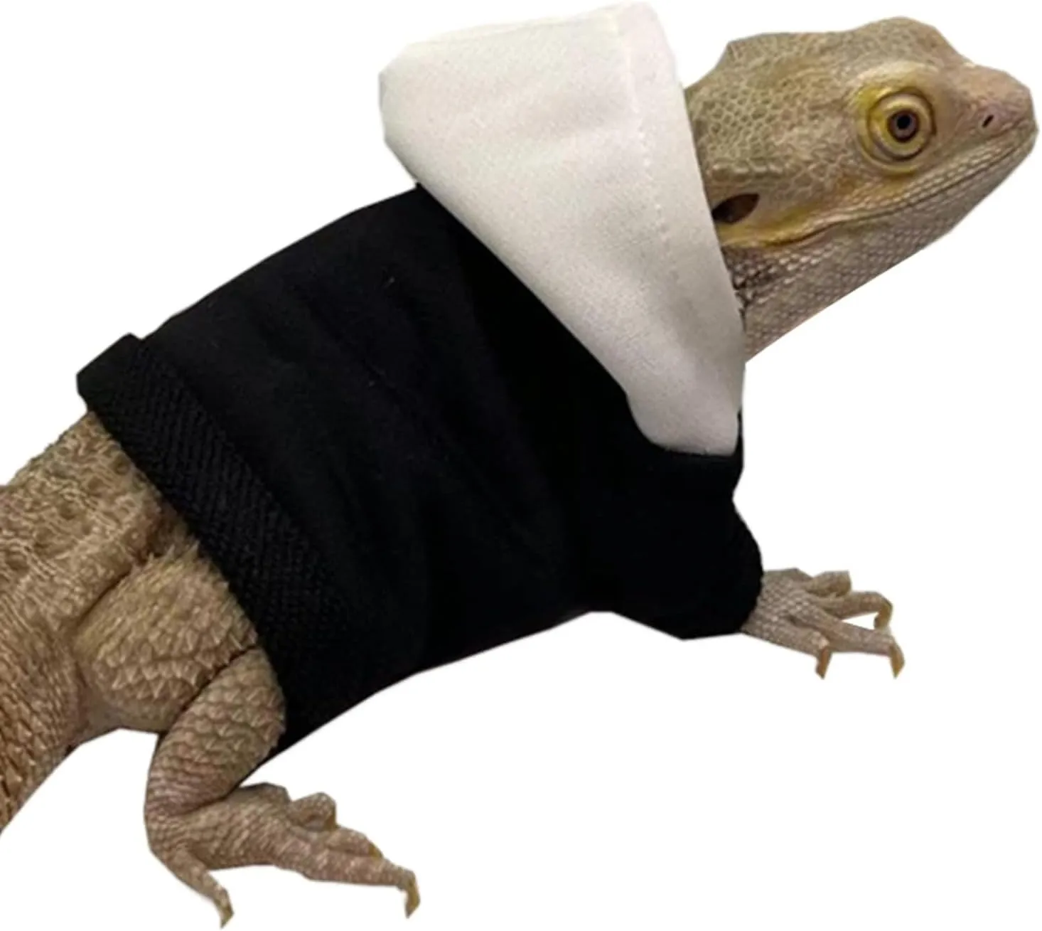 Lizards Clothes for Bearded Dragon - Handmade Cotton Hoodies Warm Sweater Coat Reptiles Apparel Costume Skin Protection Photo for Lizard Bearded Dragon Crested Gecko Chameleon (Black,Large)