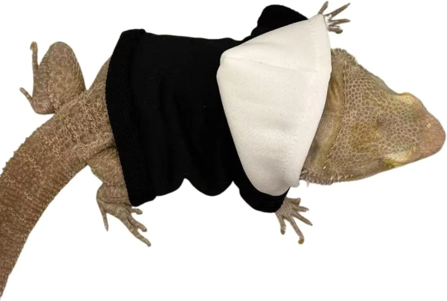 Lizards Clothes for Bearded Dragon - Handmade Cotton Hoodies Warm Sweater Coat Reptiles Apparel Costume Skin Protection Photo for Lizard Bearded Dragon Crested Gecko Chameleon (Black,Large)
