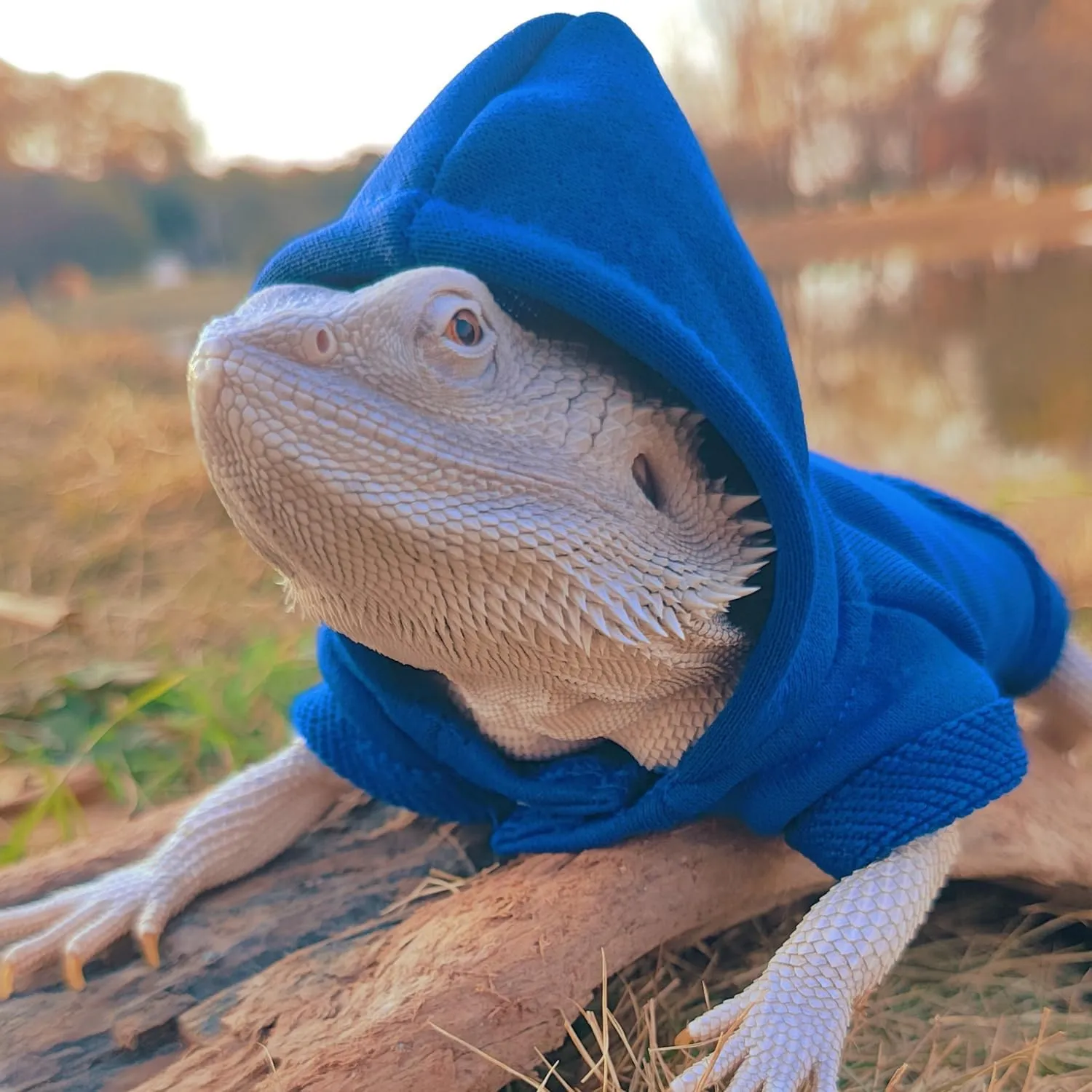 Lizards Clothes for Bearded Dragon - Handmade Cotton Hoodies Warm Sweater Coat Reptiles Apparel Costume Skin Protection Photo for Lizard Bearded Dragon Crested Gecko Chameleon (Blue,Large)