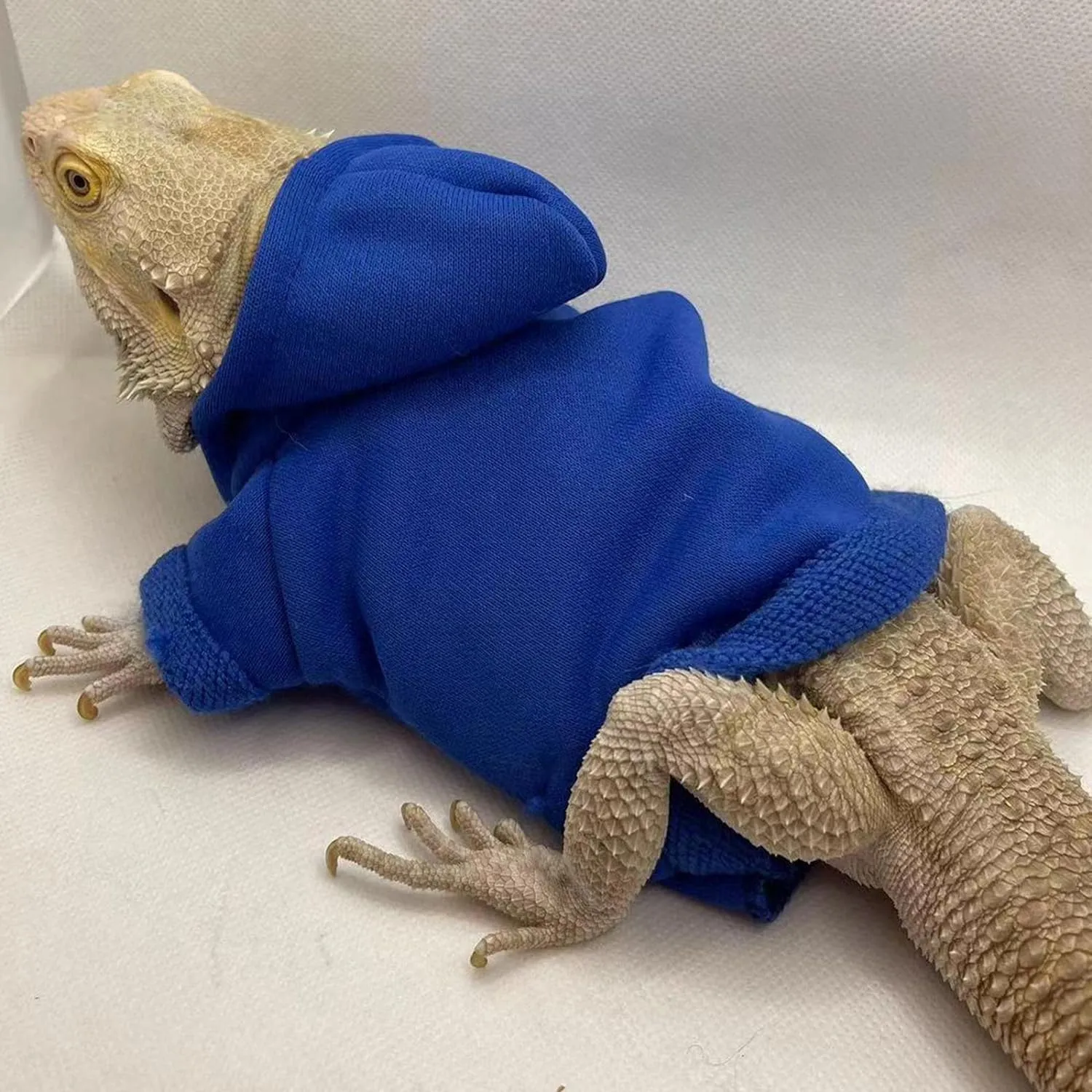 Lizards Clothes for Bearded Dragon - Handmade Cotton Hoodies Warm Sweater Coat Reptiles Apparel Costume Skin Protection Photo for Lizard Bearded Dragon Crested Gecko Chameleon (Blue,Large)