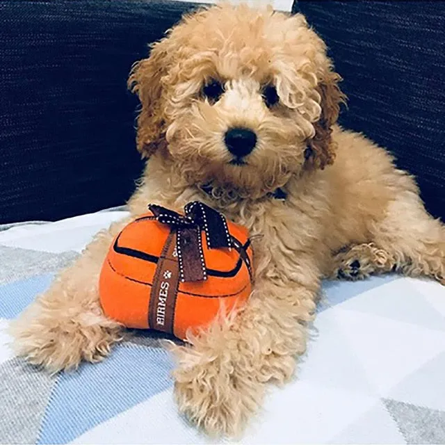 Luxury Pet Toy Embroidery Dogs Toys Pulsh Sound Balls Squeak Toy Creative French Lady Style Plush Puppy Wine Perfume 1pcs